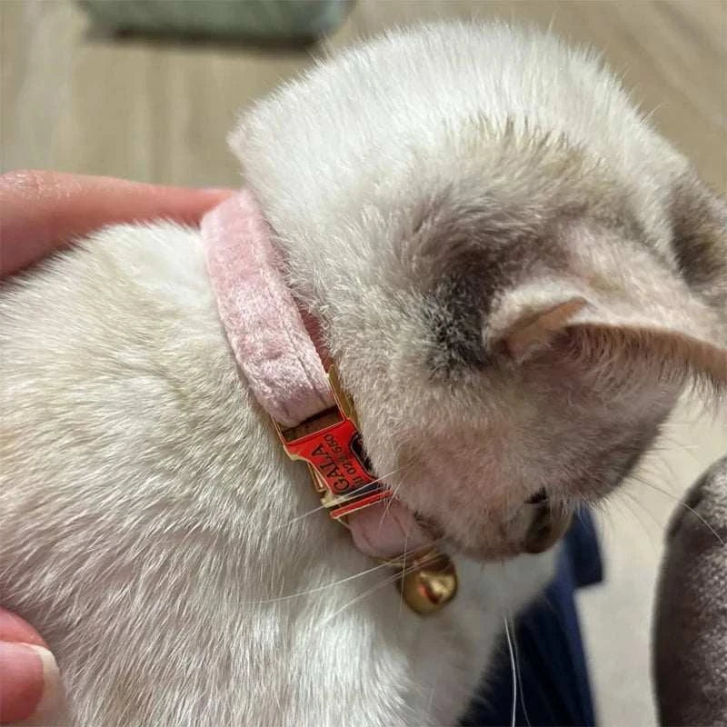 Stylish Adjustable Cat Collar with Bowknot Engraveable Pet Safety Feature for Choking Prevention Comfortable Fit for Cats