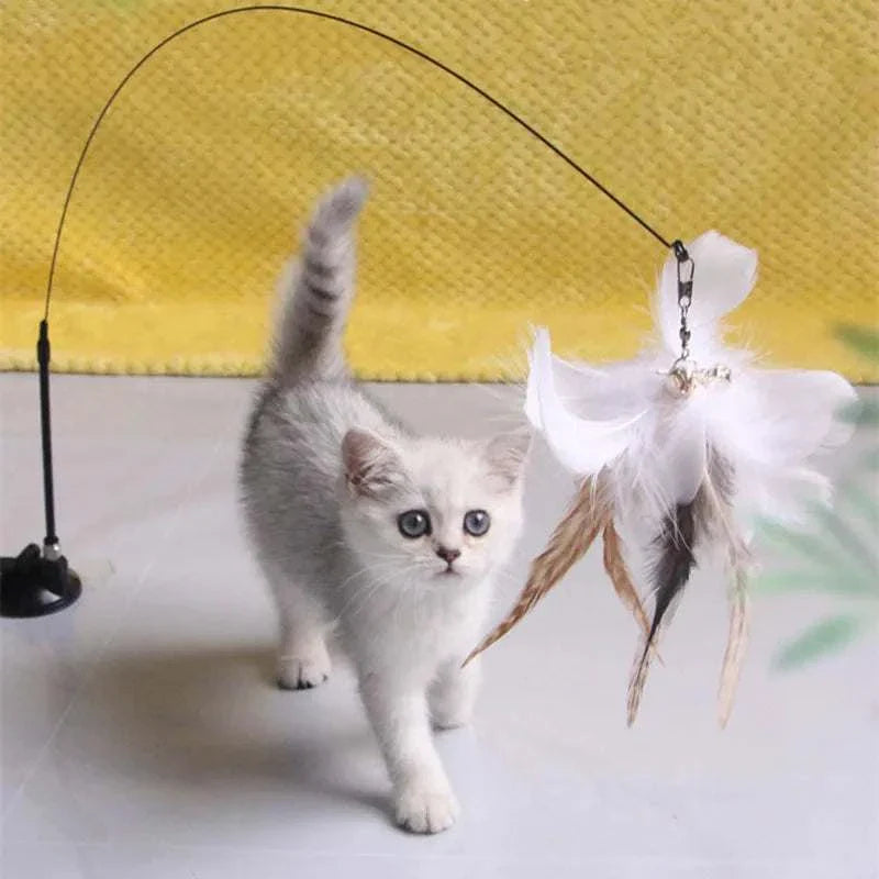 Interactive feather cat toy with suction cup for hands-free play and bite-resistant durability