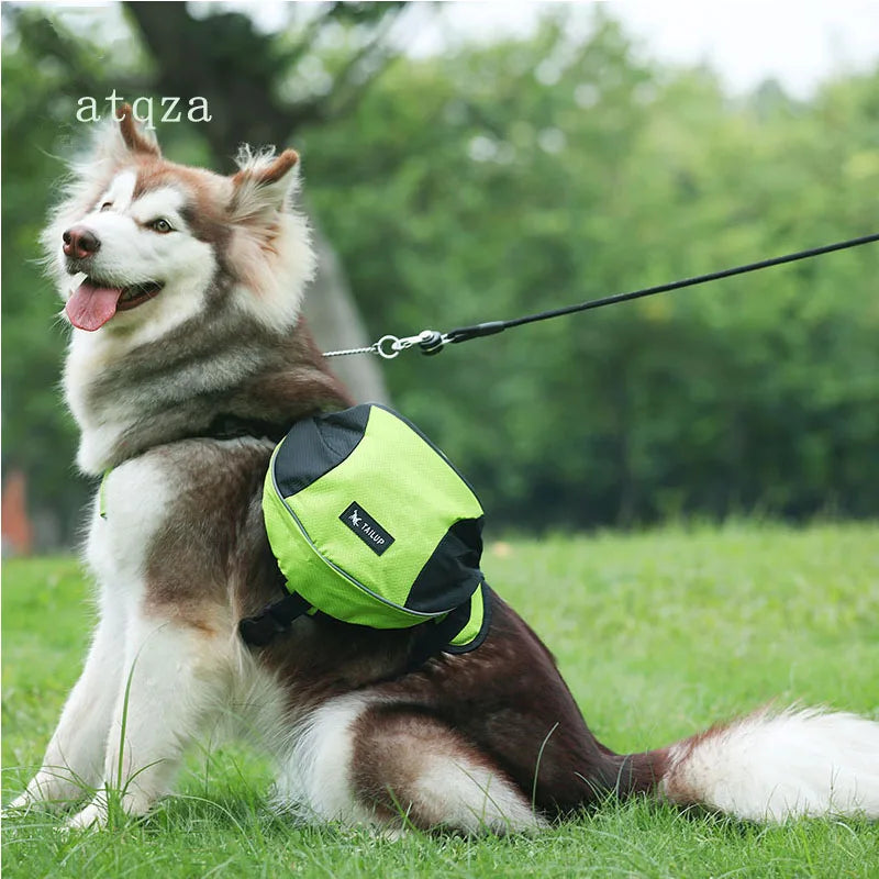Portable Dog Training