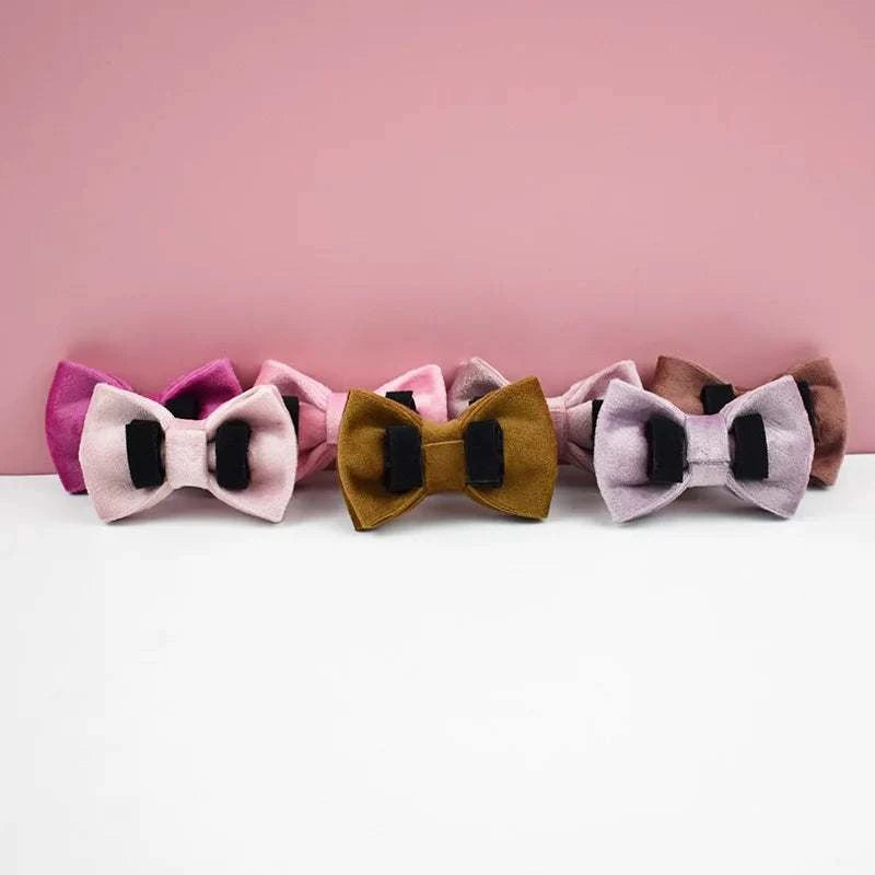 Stylish Adjustable Cat Collar with Bowknot Engraveable Pet Safety Feature for Choking Prevention Comfortable Fit for Cats