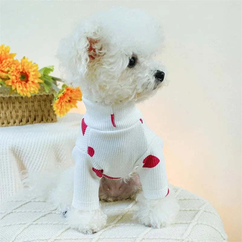 Breathable High-Collar