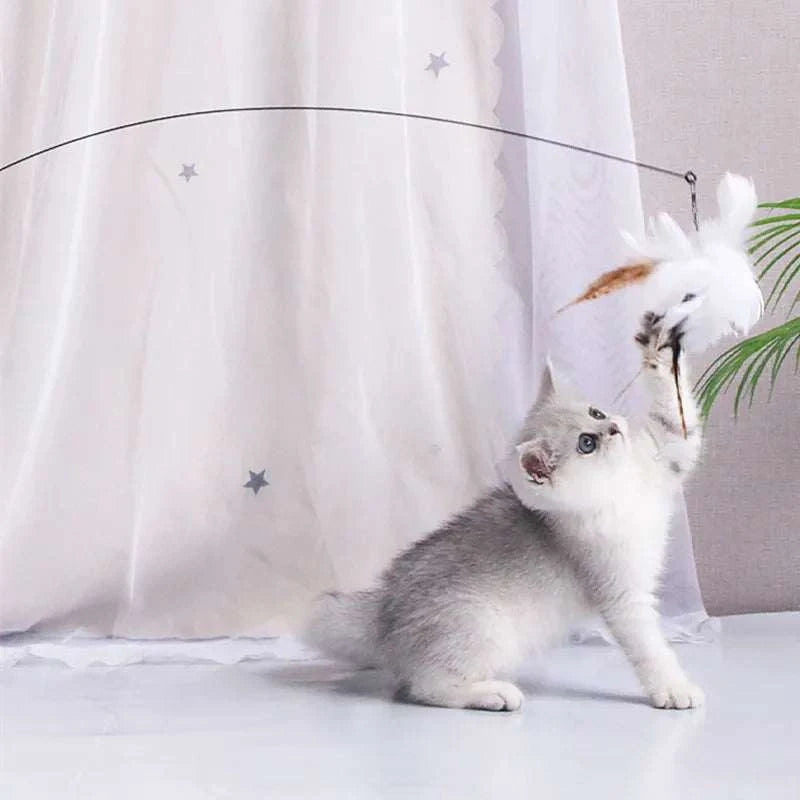 Cat Toy Interactive Feather