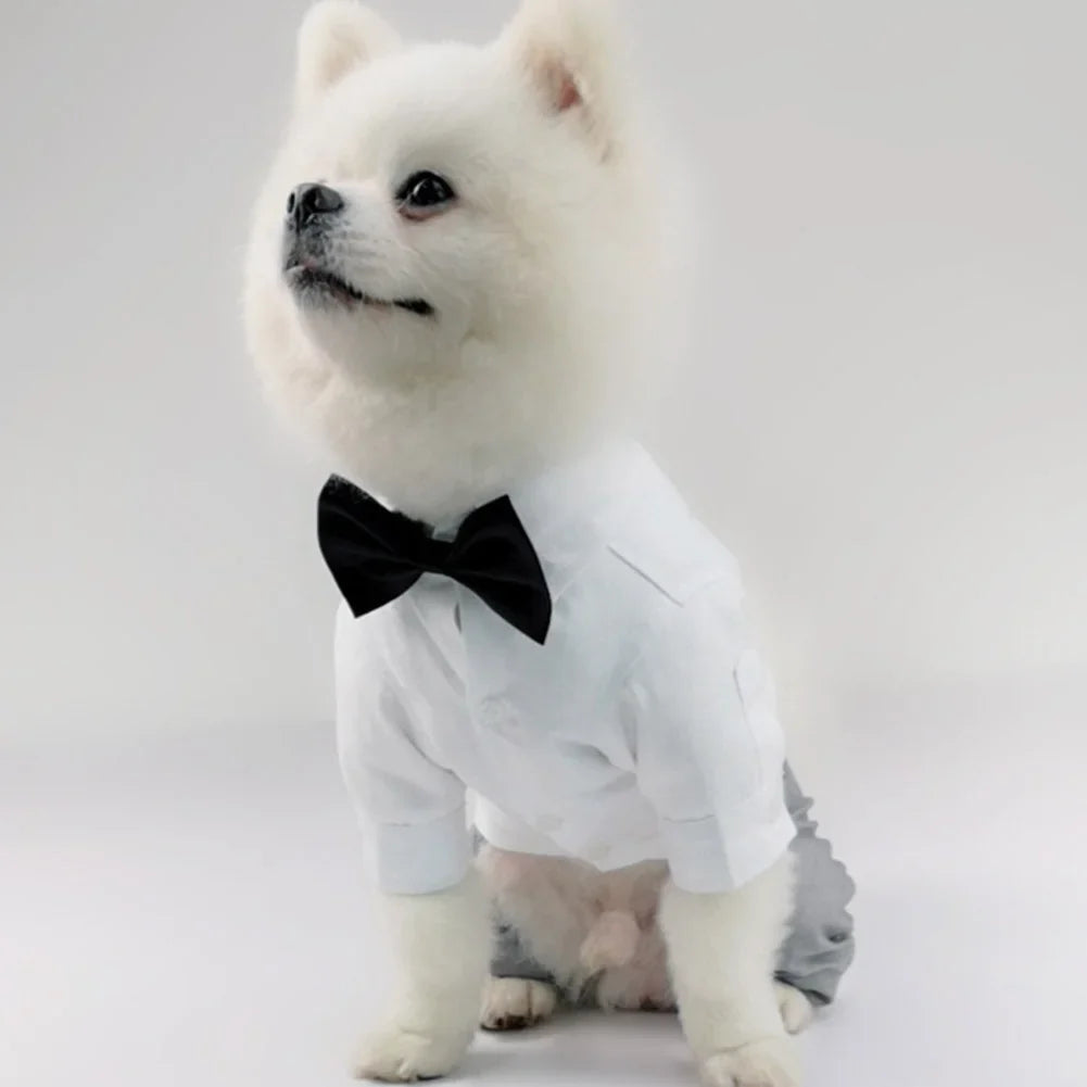 Dog Wedding Suit