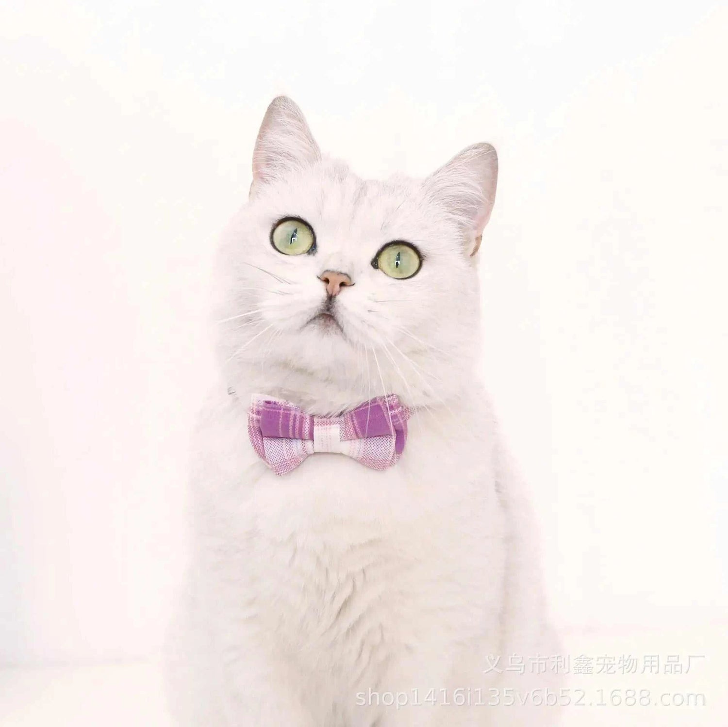 Cat Collar Breakaway with Cute Bow Tie and Bell  Adjustable &amp; Removable Plaid Dog Collar for Cats Kitty Kitten Small Medium Dogs