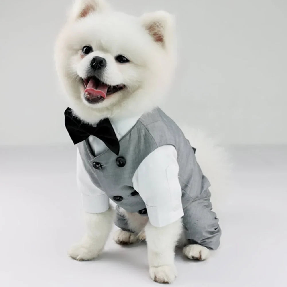Dog Wedding Suit