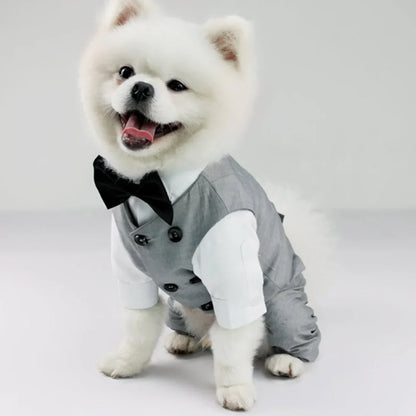 Dog Wedding Suit