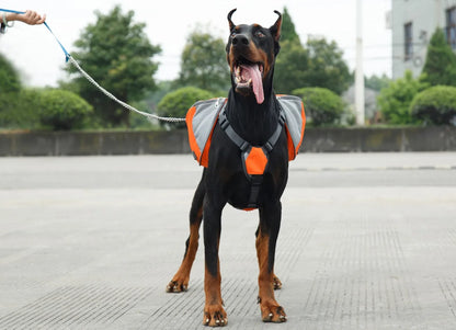 Portable Dog Training