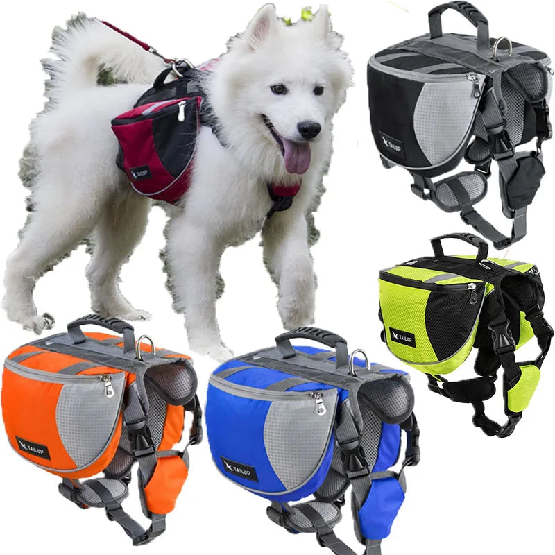 Portable Dog Training