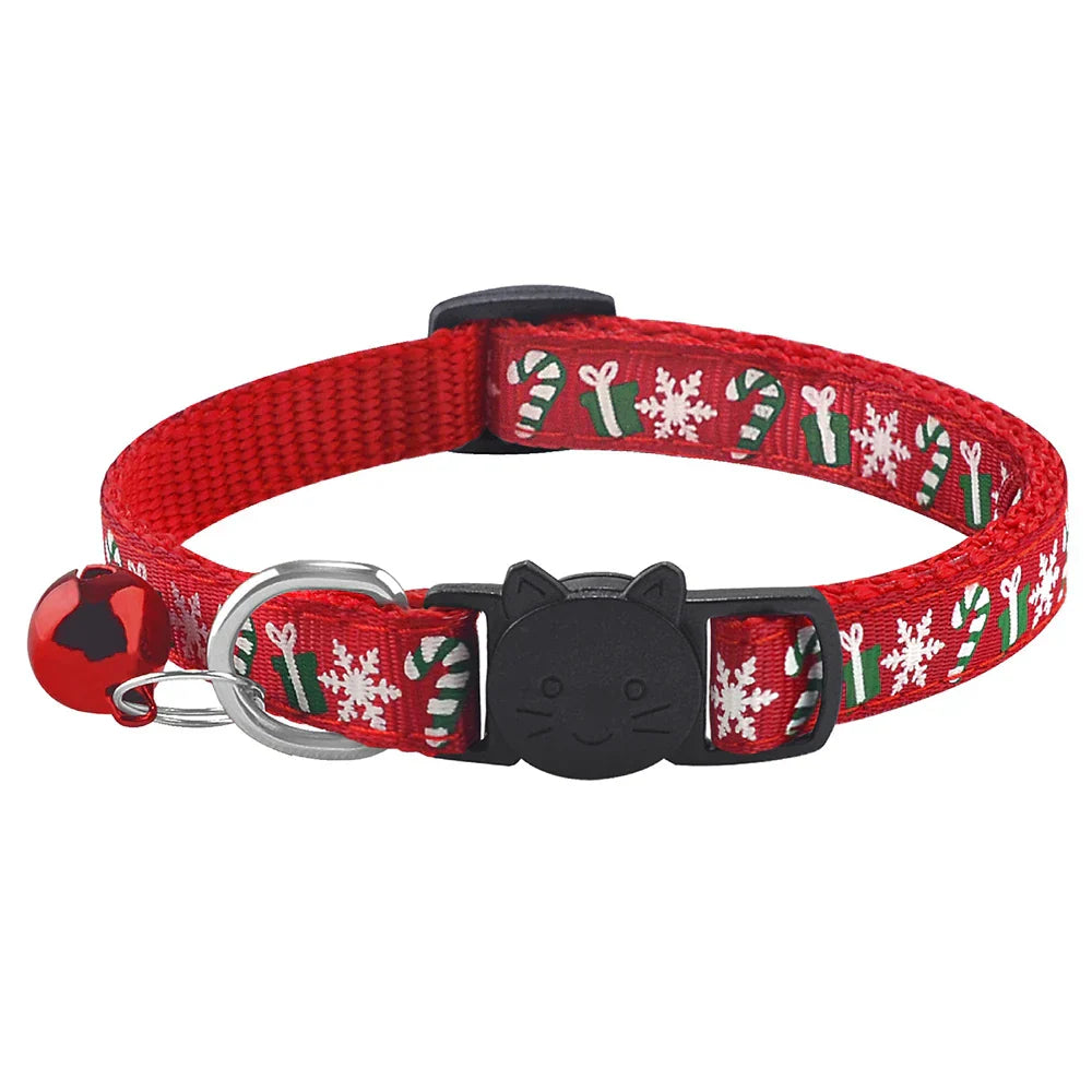 Personalized Adjustable Nylon