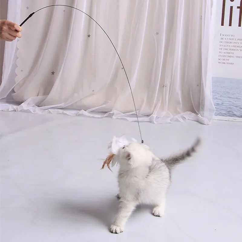 Cat Toy Interactive Feather