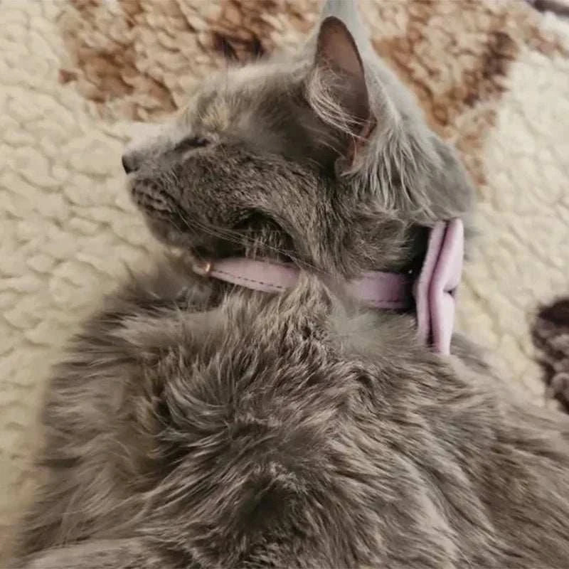 Stylish Adjustable Cat Collar with Bowknot Engraveable Pet Safety Feature for Choking Prevention Comfortable Fit for Cats