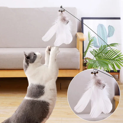 Cat Toy Interactive Feather