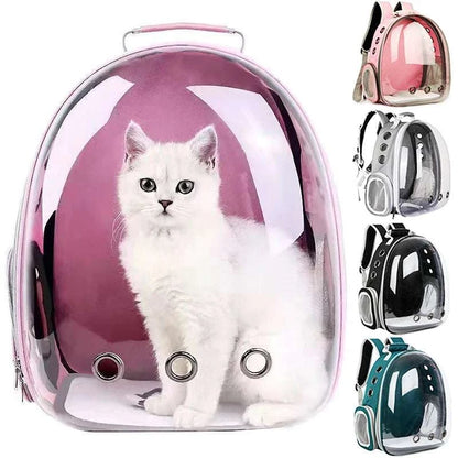 Transparent cat pet carrier backpack with bubble window and breathable nylon design