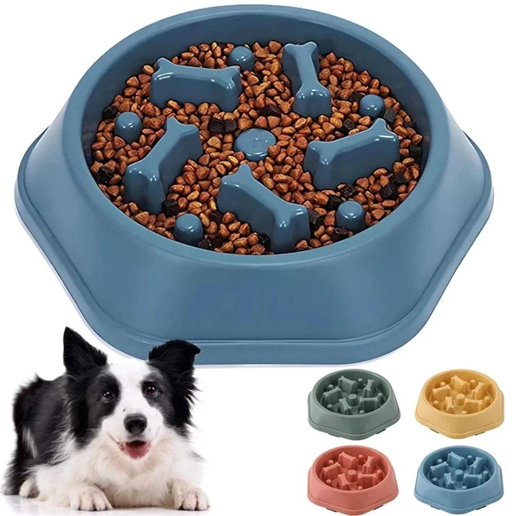 Plastic slow feeder dog bowl with anti-slip base and maze design for medium dogs, promoting slow eating and better digestion.